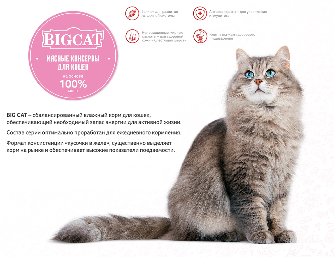 bigcat